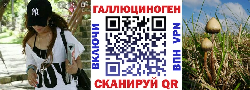 Псилоцибиновые грибы мицелий  купить  цена  нарко площадка Telegram  Волжск 